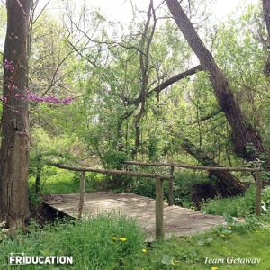 friducation-brand-culture