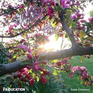 friducation-brand-culture