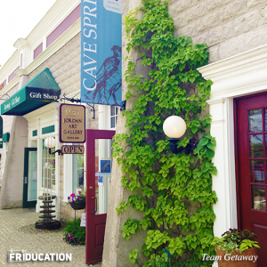 friducation-brand-culture