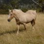 Patagonia Adventure nature hiking 14