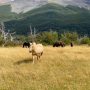 Patagonia Adventure nature hiking 15