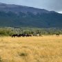 Patagonia Adventure nature hiking 45